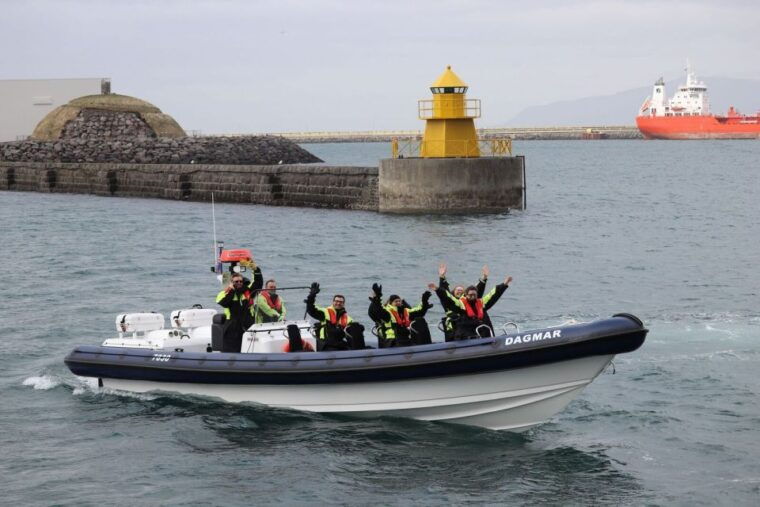 reykjavik-whale-watching-tour-by-rib-boat