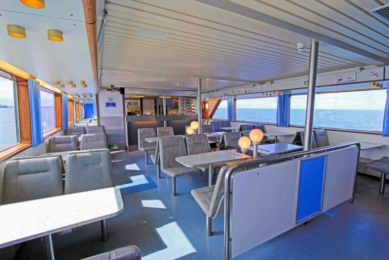 reykjavik-whale-watching-tour