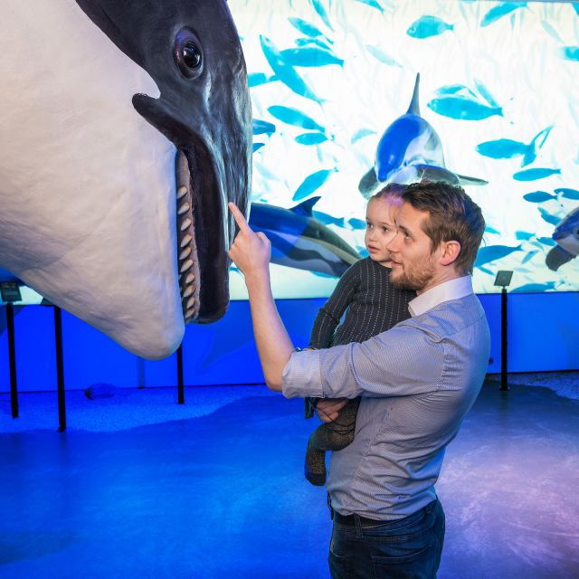 reykjavik-whale-watching-tour-whales-of-iceland-exhibition