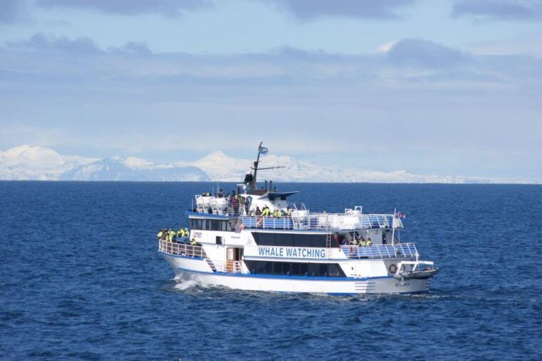 reykjavik-whale-watching-tour-whales-of-iceland-exhibition