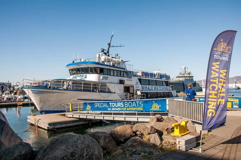 Reykjavik: Whale Watching Tour with Expert Guide - A Deep Dive into the Whale Watching Experience