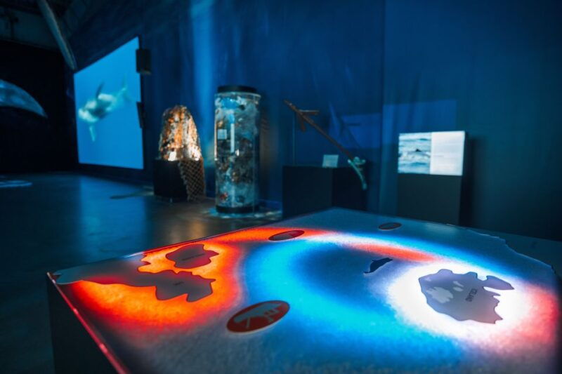 reykjavik-whales-of-iceland-museum-entrance-ticket