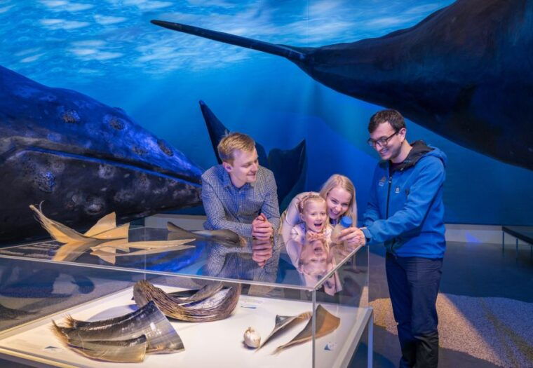 reykjavik-whales-of-iceland-museum-entrance-ticket
