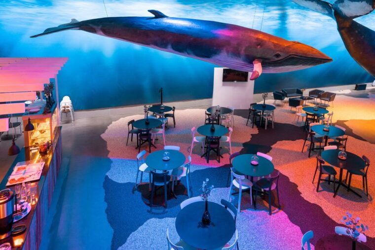 reykjavik-whales-of-iceland-museum-entrance-ticket