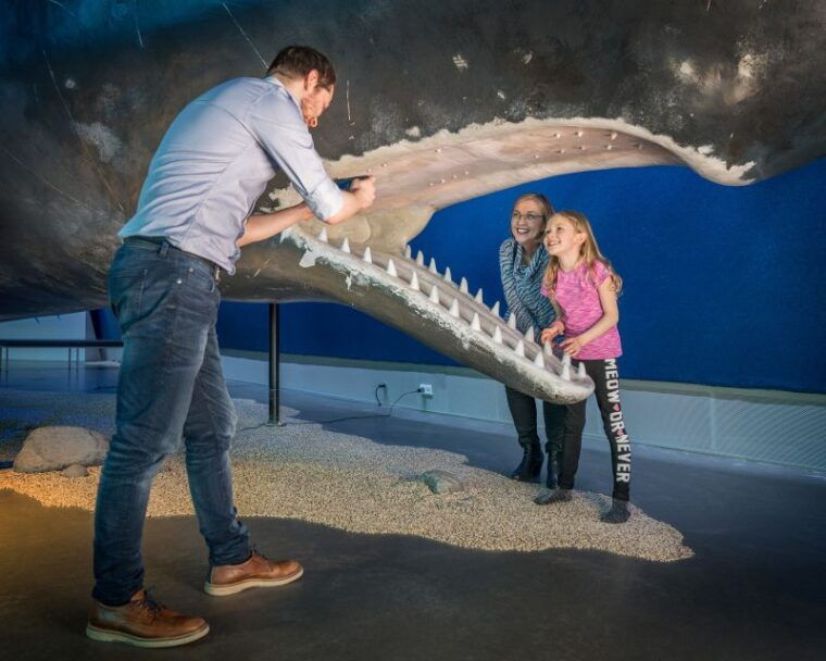 reykjavik-whales-of-iceland-museum-entrance-ticket