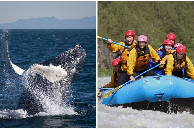 reykjavik-whales-white-water-rafting-adventure