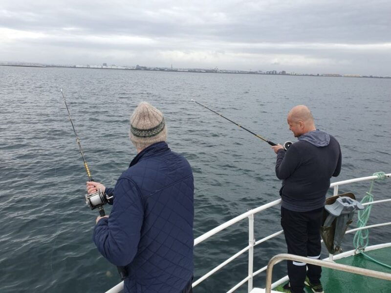 reykjaviks-finest-catch-guided-sea-angling-tour