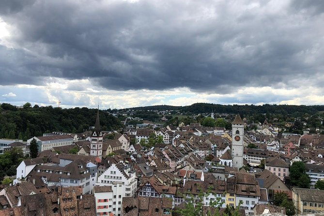 rhine-falls-and-stein-am-rhein-private-tour