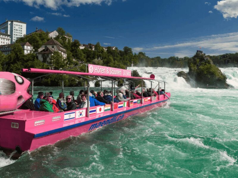 Rhine Falls & Stein am Rhein Private Day Trip - Key Points