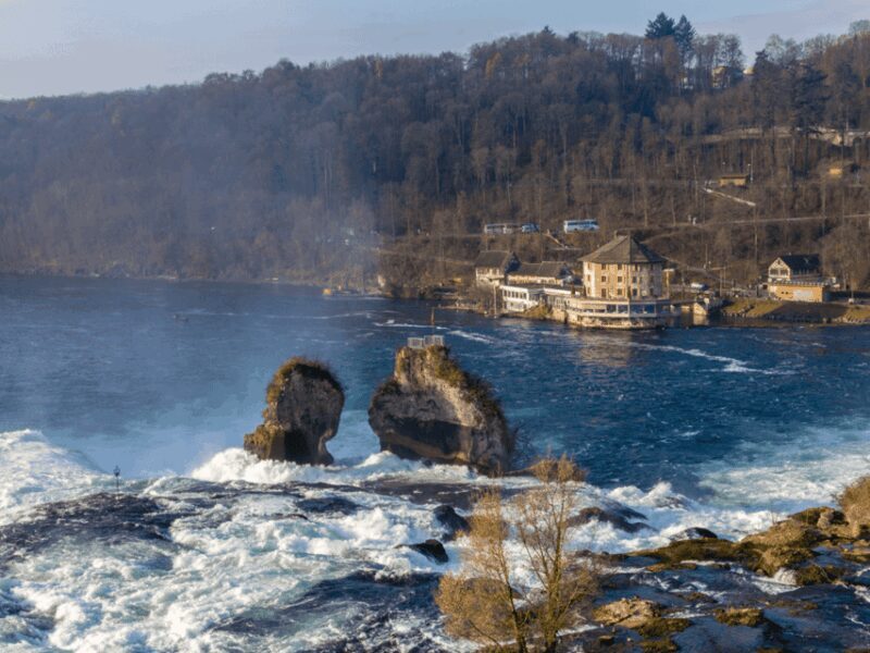 Rhine Falls & Stein am Rhein Private Day Trip - What Makes This Tour Stand Out?