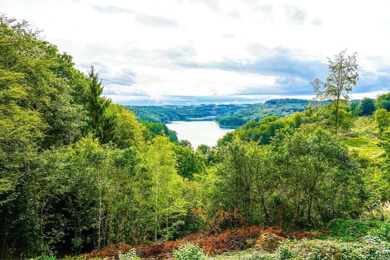 Rhine Tour: Guided trike tour through the Bergisches Land | Thursday, July 24, 2025 - What’s Included & Practical Info