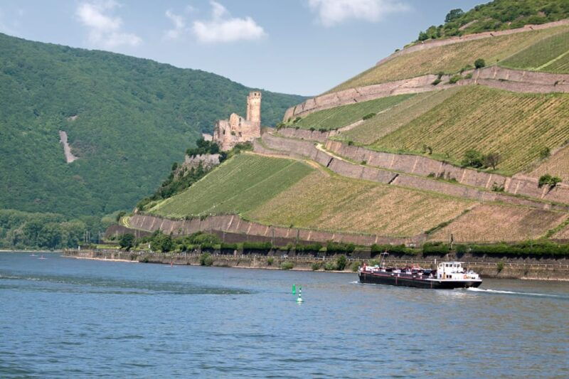 rhine-valley-castles-1-5-hour-boat-tour-from-rudesheim