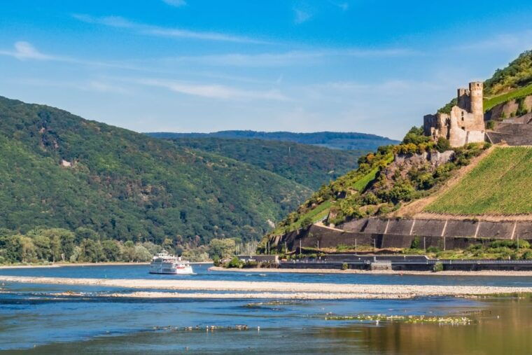 rhine-valley-castles-1-5-hour-boat-tour-from-rudesheim