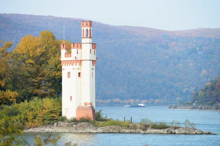 rhine-valley-castles-1-5-hour-boat-tour-from-rudesheim