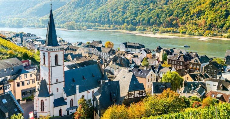 rhine-valley-half-day-tour-from-frankfurt