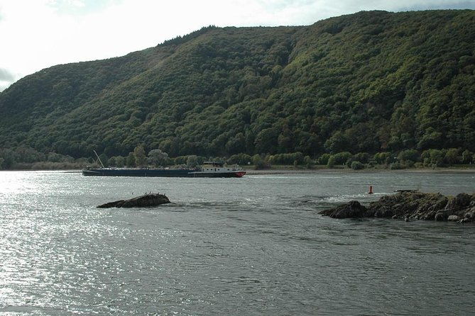 rhine-valley-trip-from-frankfurt-including-rhine-river-cruise