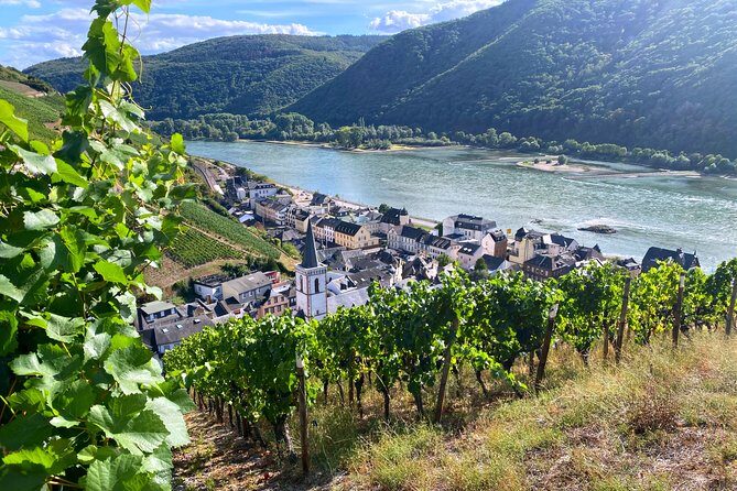 Rhine Valley Wine Tasting Tour from Frankfurt and Mainz - An In-Depth Look at What This Tour Offers