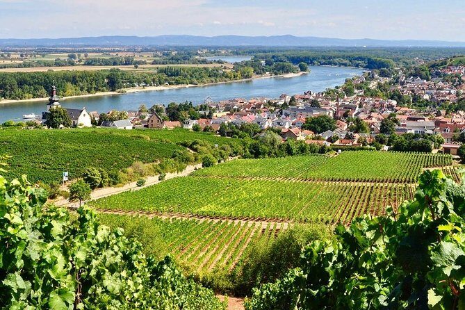 Rhine Valley Wine Tasting Tour from Frankfurt and Mainz - Authenticity and Guide Expertise