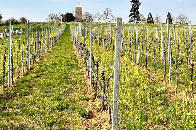 Rhine Valley Wine Tasting Tour from Frankfurt and Mainz - FAQs