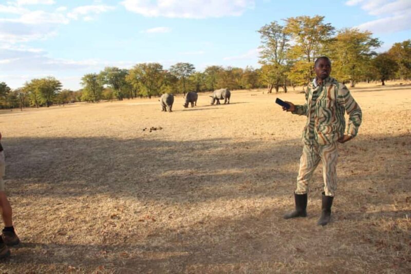 Rhino game drive - Mosi-oa-tunya national park - An In-Depth Look at the Rhino Game Drive Experience