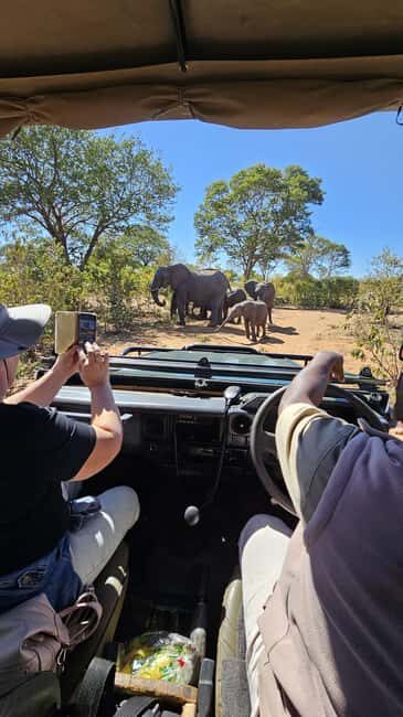 Rhino Game Drive - Mosi-oa-tunya National Park - An Honest Look at the Rhino Game Drive Experience