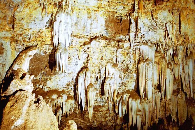 Rhino & Lion Nature Reserve & Wonder Caves - How the Tour Runs