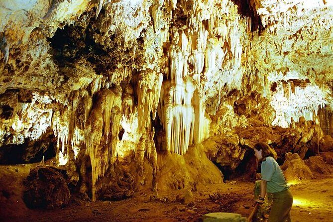 Rhino & Lion Nature Reserve & Wonder Caves - The Sum Up