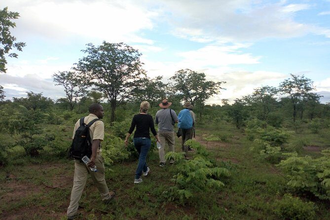 Rhino & Nature walk in the Musiotunya National Park - An In-Depth Look at the Experience