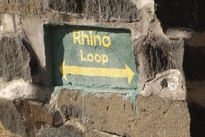 Rhino Walk - The Details of the Rhino Walk Experience