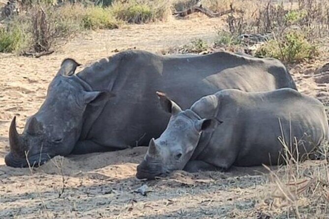 Rhino walking Safari - What to Expect from the Rhino Walking Safari