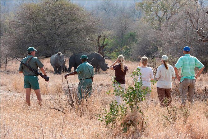 Rhino Walking Safari in the Musi Otunya National Park - Who Will Love This Tour?
