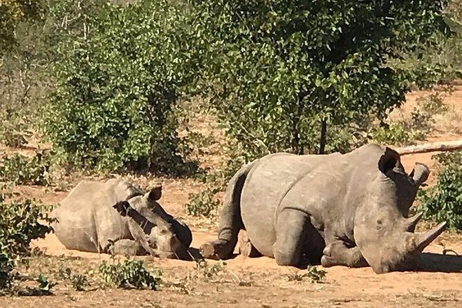 Rhino Walking Safari in the Musi Otunya National Park - FAQ