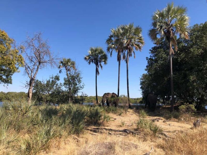 Rhino Walking Safari -Mosi -oa- Tunya National Park - Key Points