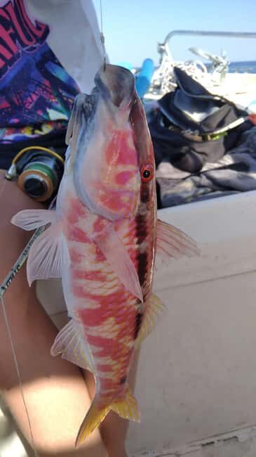 Rhodes: 4 Hour Private Boat Fishing Trip with Equipment - Key Points