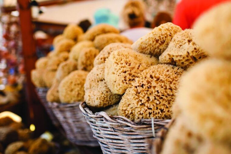 rhodes-boat-trip-to-symi-island-with-swimming-at-st-george