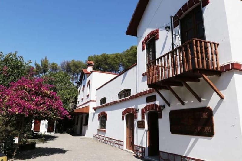Rhodes: Butterfly Valley and Filerimos Hill Bus Trip - Who Should Consider This Tour?