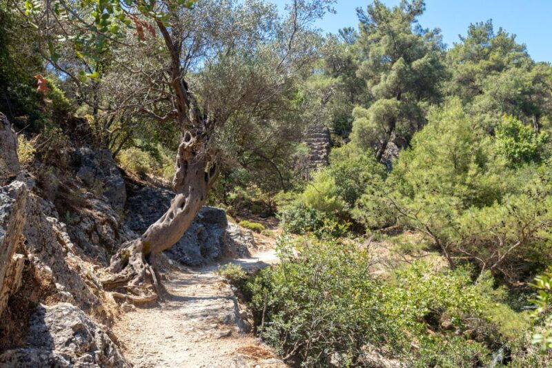 rhodes-butterfly-valley-and-seven-springs-valley-day-trip