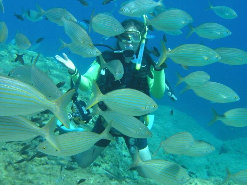 rhodes-diving-adventure-for-beginners-and-experts