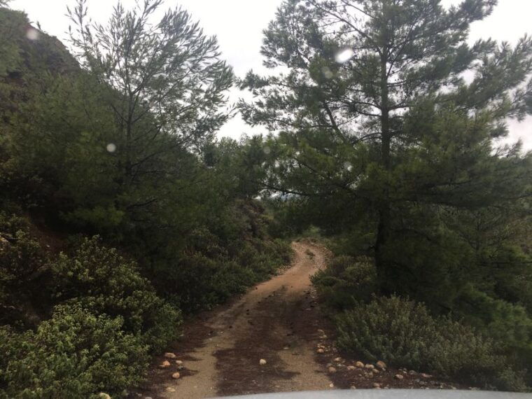 rhodes-full-day-4wd-southern-safari-tour