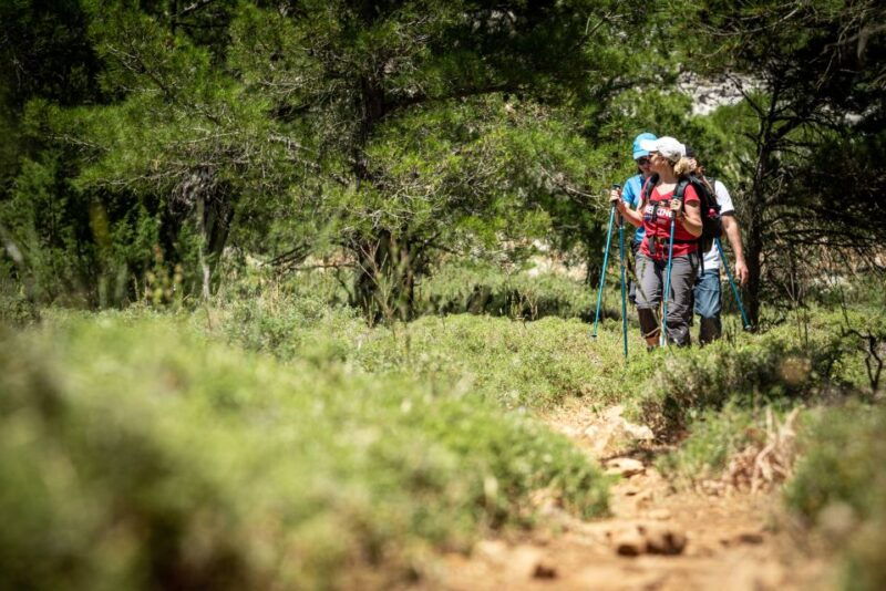 rhodes-hiking-tour-to-the-summit-of-akramitis-with-photos