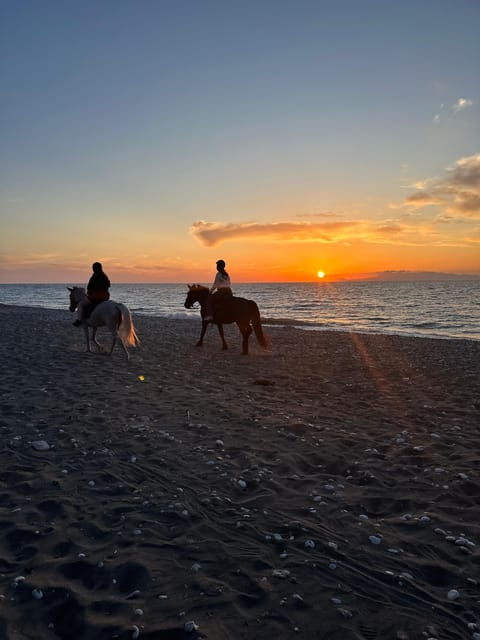 rhodes-horseback-riding-trip-with-digital-photos