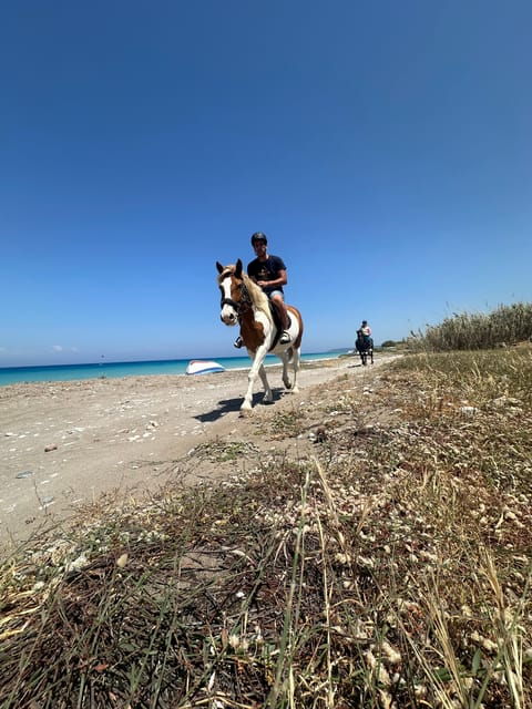 rhodes-horseback-riding-trip-with-digital-photos