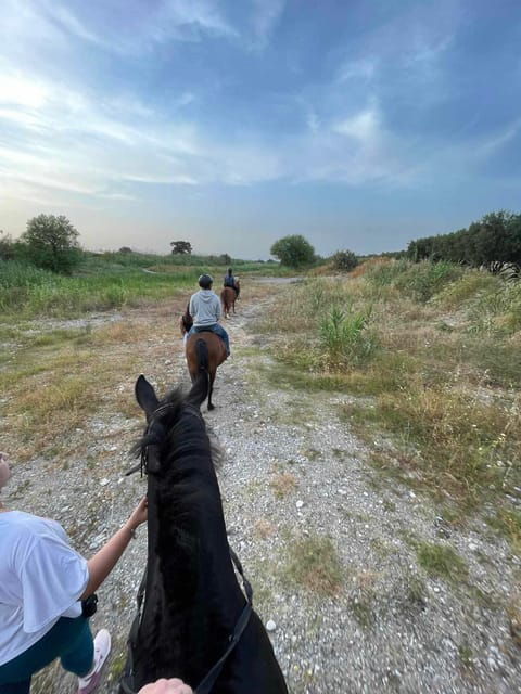 rhodes-horseback-riding-trip-with-digital-photos