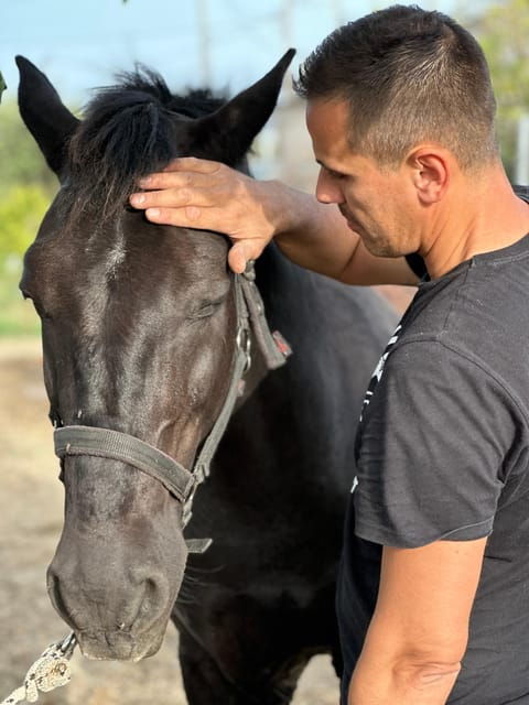rhodes-horseback-riding-trip-with-digital-photos