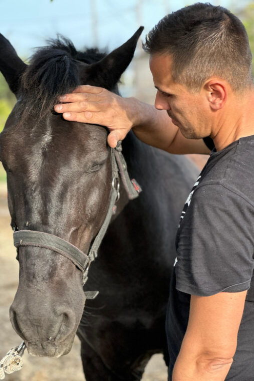 rhodes-horseback-riding-trip-with-digital-photos