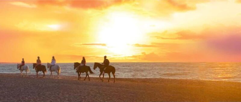 Rhodes Island: Horseback Riding at the Beach During Sunset - An In-Depth Look at the Rhodes Beach Sunset Horseback Ride