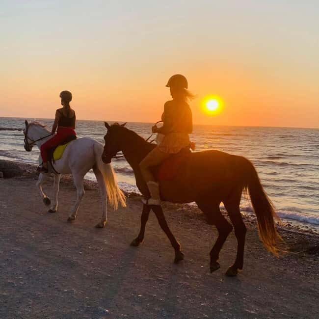 Rhodes Island: Horseback Riding at the Beach During Sunset - Who Should Book This Experience?