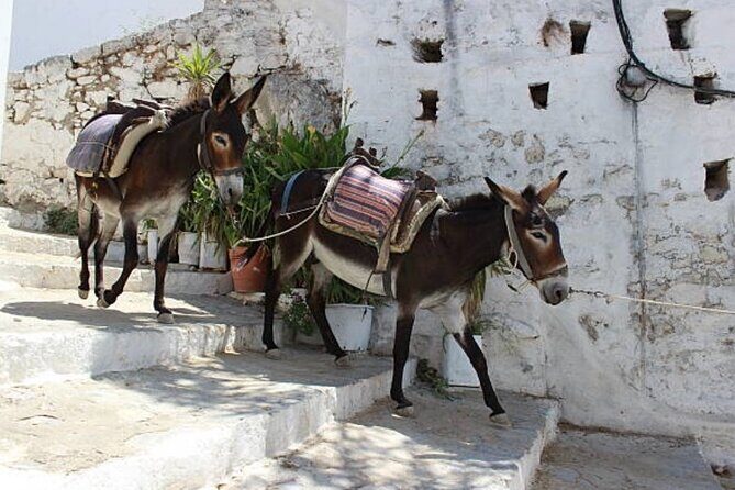 Rhodes, Lindos and Medieval City Guided Tour from Cruise Port - Transportation and Group Size: What to Expect