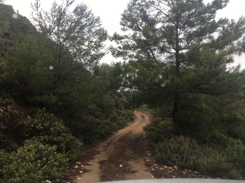 rhodes-north-safari-hidden-paths-scenic-flavors