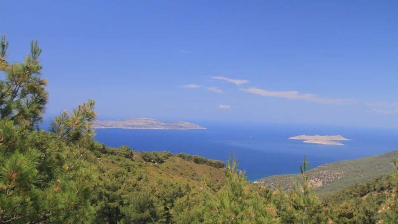 Rhodes: Safari with experienced driver - South pick ups - Why This Tour Is Worth Considering